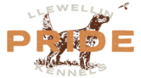 Pride Llewellin Kennels Logo